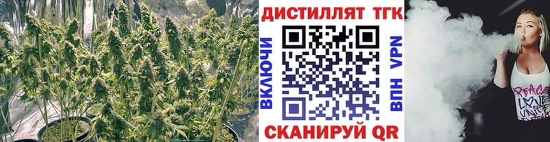 ТГК вейп с тгк  где купить наркоту  Вольск 