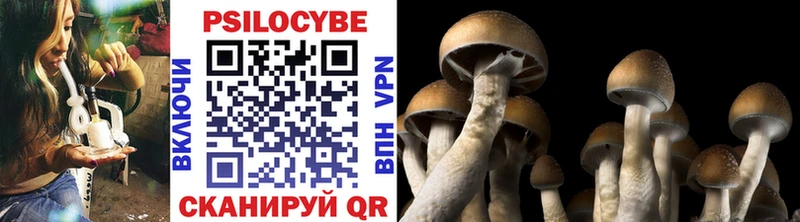 Галлюциногенные грибы Magic Shrooms  Вольск 